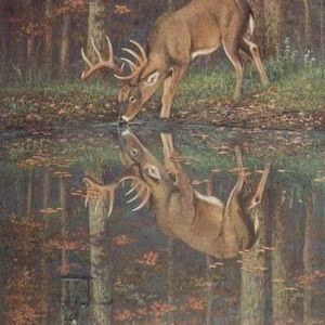 Meet your Posher, Gary